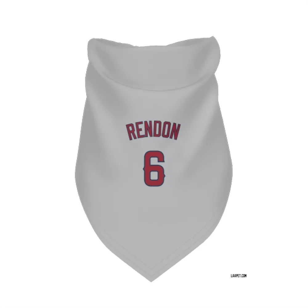 Los Angeles Angels Anthony Rendon Gray Pet Bandana for Dog & Cat