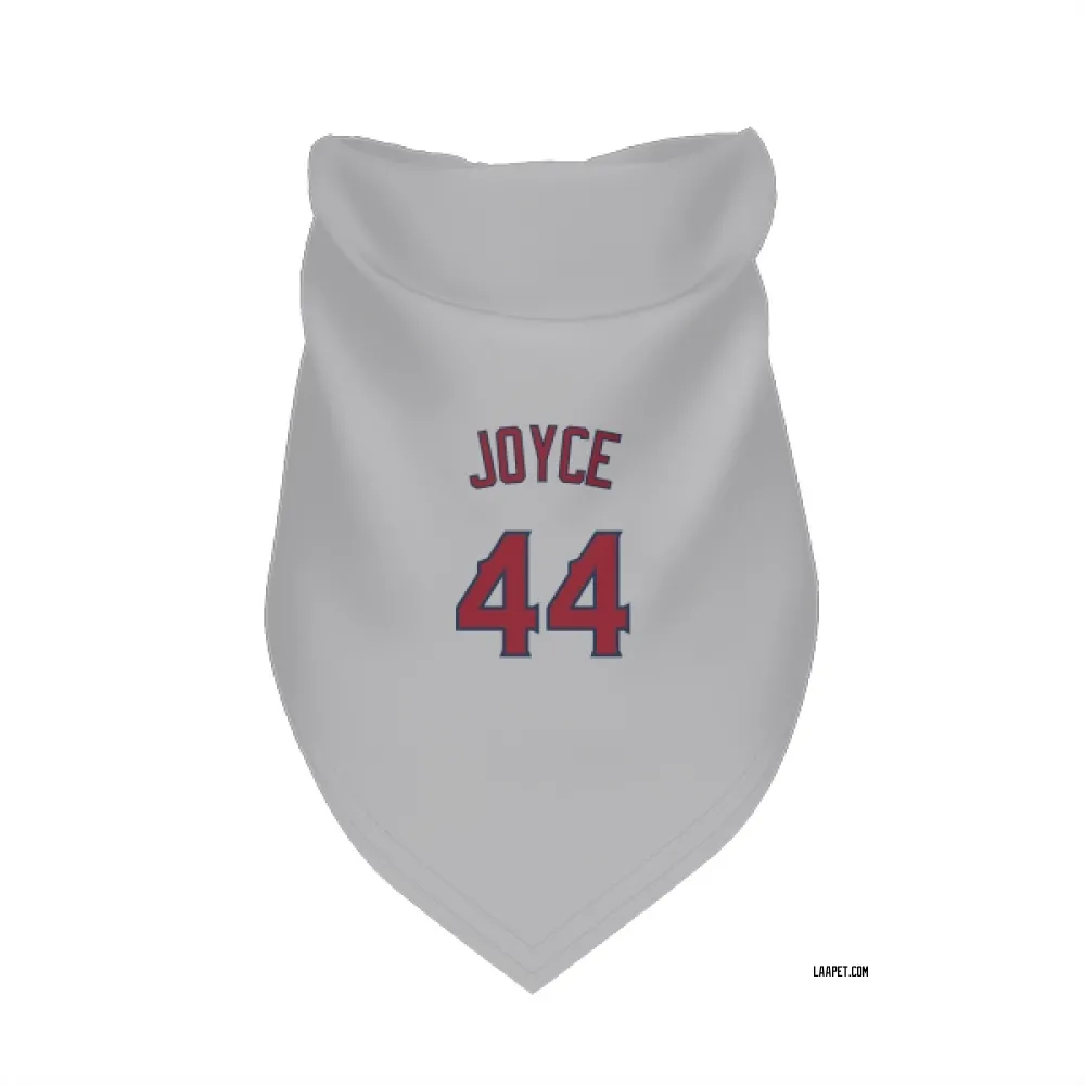 Los Angeles Angels Ben Joyce Gray Pet Bandana for Dog & Cat
