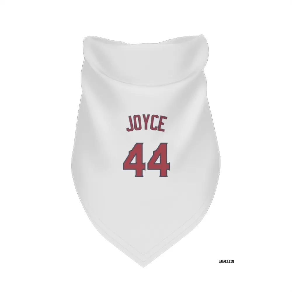 Los Angeles Angels Ben Joyce White Pet Bandana for Dog & Cat