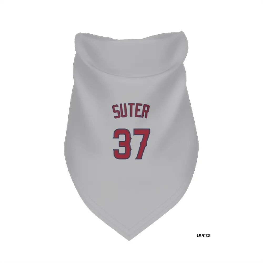 Los Angeles Angels Brent Suter Gray Pet Bandana for Dog & Cat