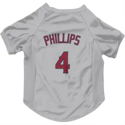 Los Angeles Angels Brett Phillips Gray Pet Jersey for Dog & Cat