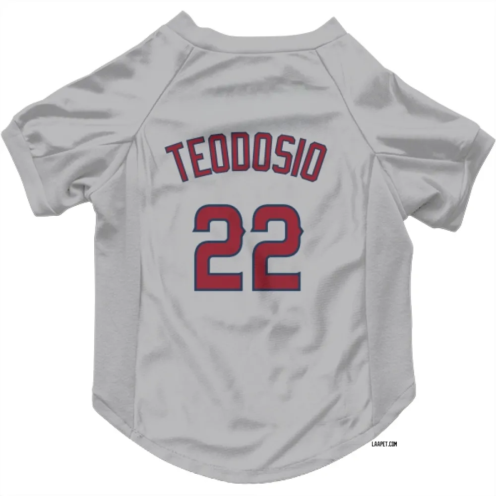 Los Angeles Angels Bryce Teodosio Gray Pet Jersey for Dog & Cat