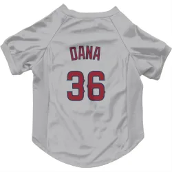 Los Angeles Angels Caden Dana Gray Pet Jersey for Dog & Cat