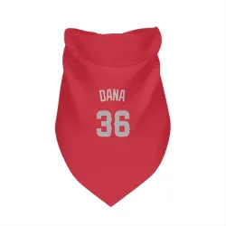 Los Angeles Angels Caden Dana Red Gray Pet Bandana for Dog & Cat