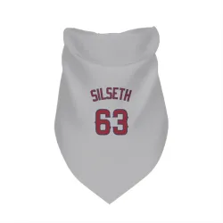Los Angeles Angels Chase Silseth Gray Pet Bandana for Dog & Cat