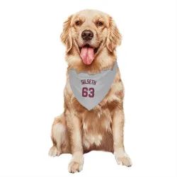 Los Angeles Angels Chase Silseth Gray Pet Bandana for Dog & Cat