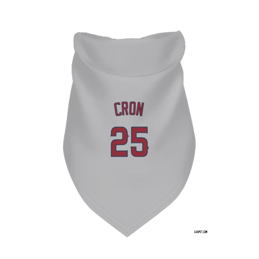 Los Angeles Angels C.J. Cron Gray Pet Bandana for Dog & Cat