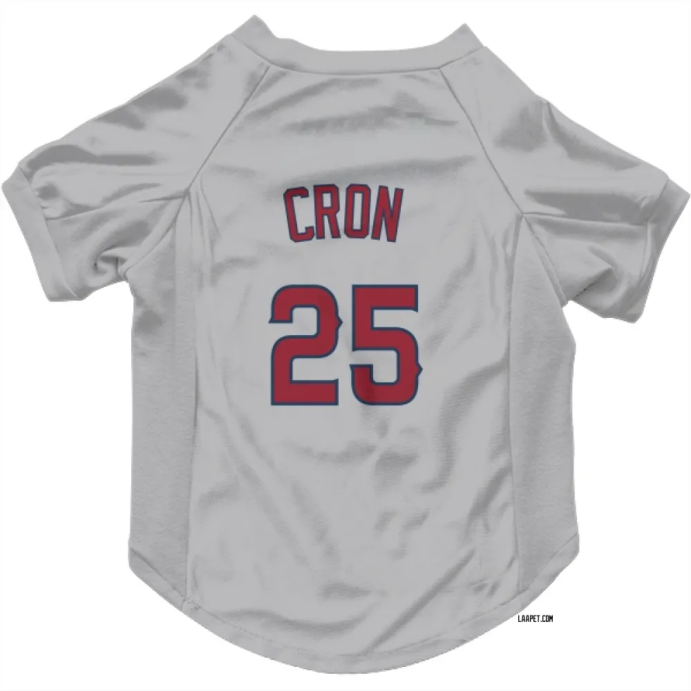 Los Angeles Angels C.J. Cron Gray Pet Jersey for Dog & Cat