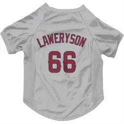 Los Angeles Angels Cody Laweryson Gray Pet Jersey for Dog & Cat