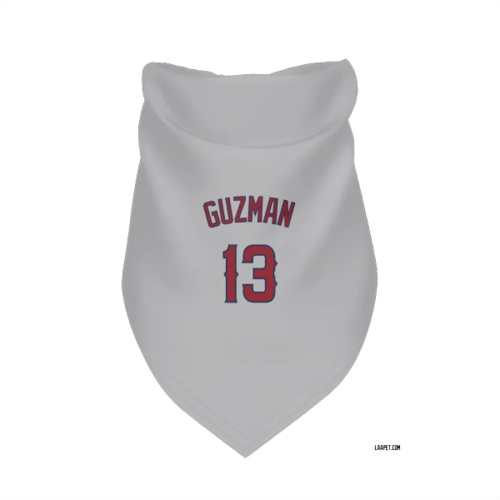 Los Angeles Angels Denzer Guzman Gray Pet Bandana for Dog & Cat