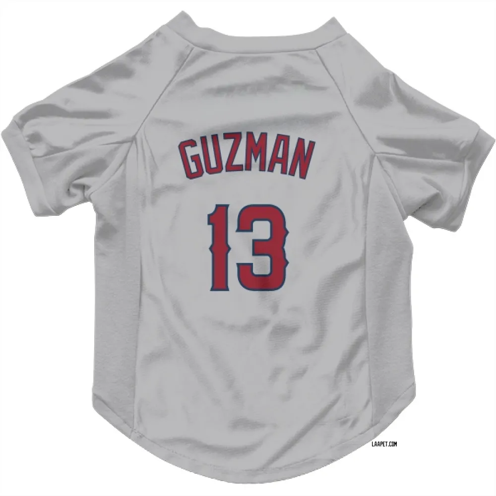 Los Angeles Angels Denzer Guzman Gray Pet Jersey for Dog & Cat