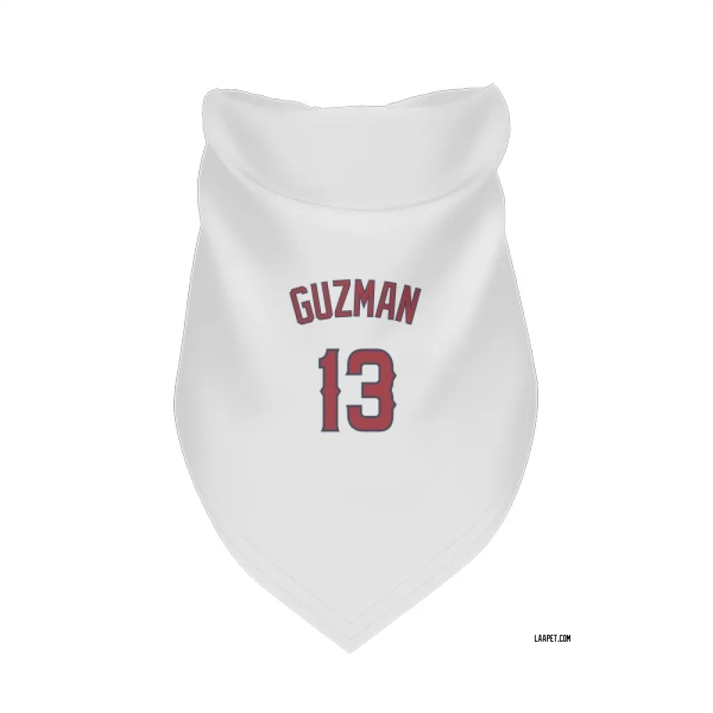 Los Angeles Angels Denzer Guzman White Pet Bandana for Dog & Cat