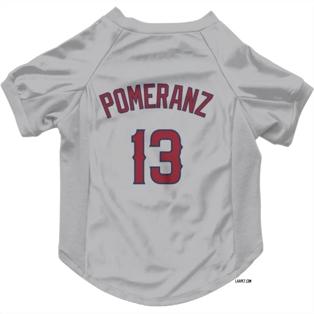 Los Angeles Angels Drew Pomeranz Gray Pet Jersey for Dog & Cat