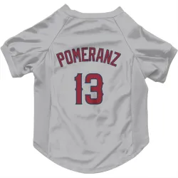 Los Angeles Angels Drew Pomeranz Gray Pet Jersey for Dog & Cat