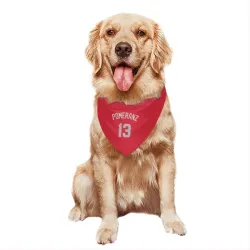 Los Angeles Angels Drew Pomeranz Red Gray Pet Bandana for Dog & Cat