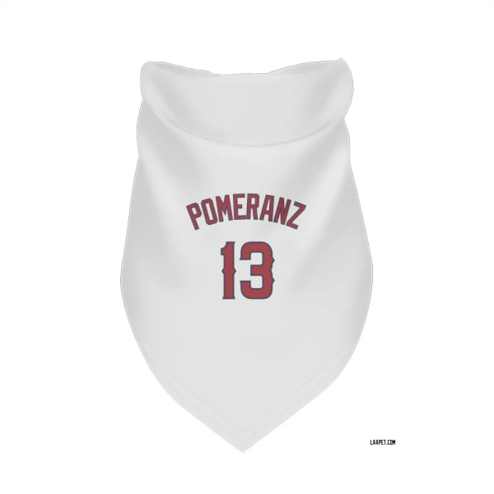 Los Angeles Angels Drew Pomeranz White Pet Bandana for Dog & Cat