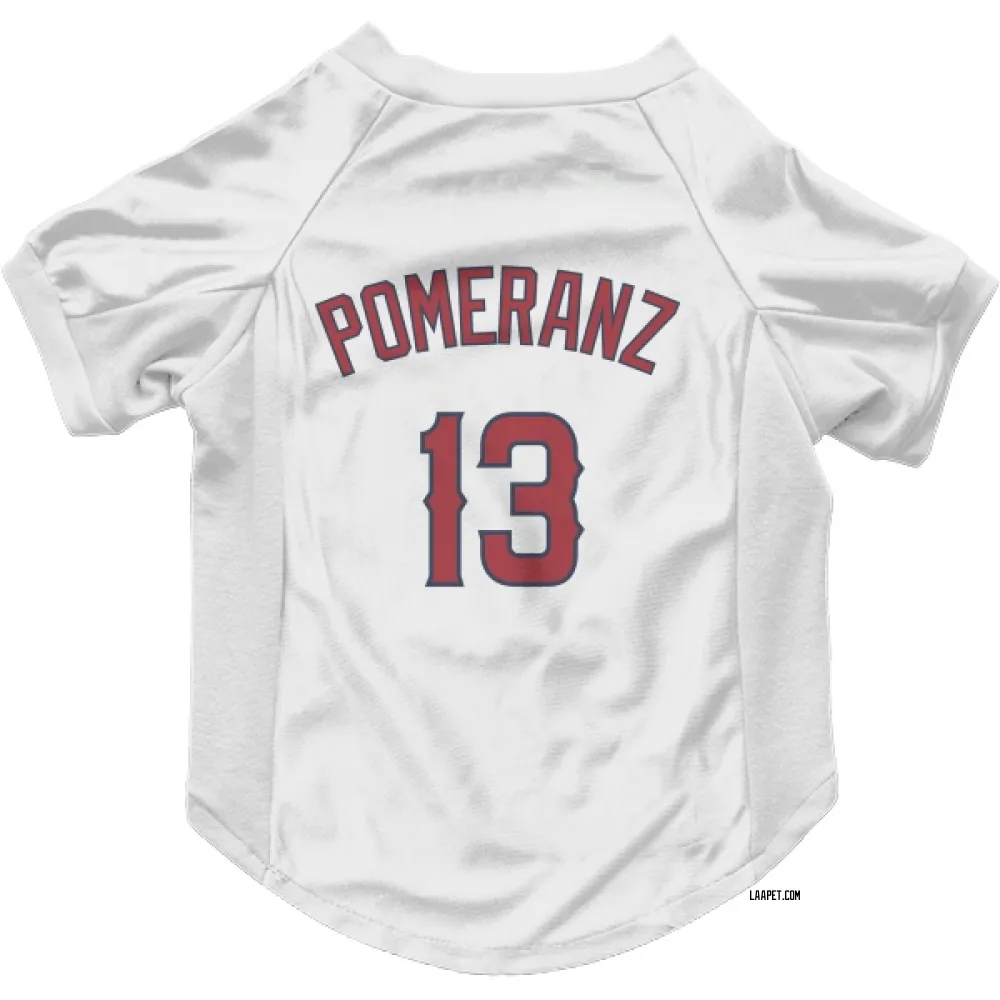Los Angeles Angels Drew Pomeranz White Pet Jersey for Dog & Cat