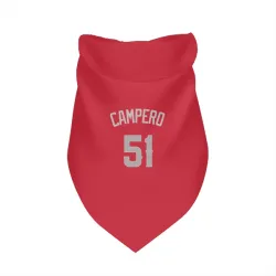 Los Angeles Angels Gustavo Campero Red Gray Pet Bandana for Dog & Cat