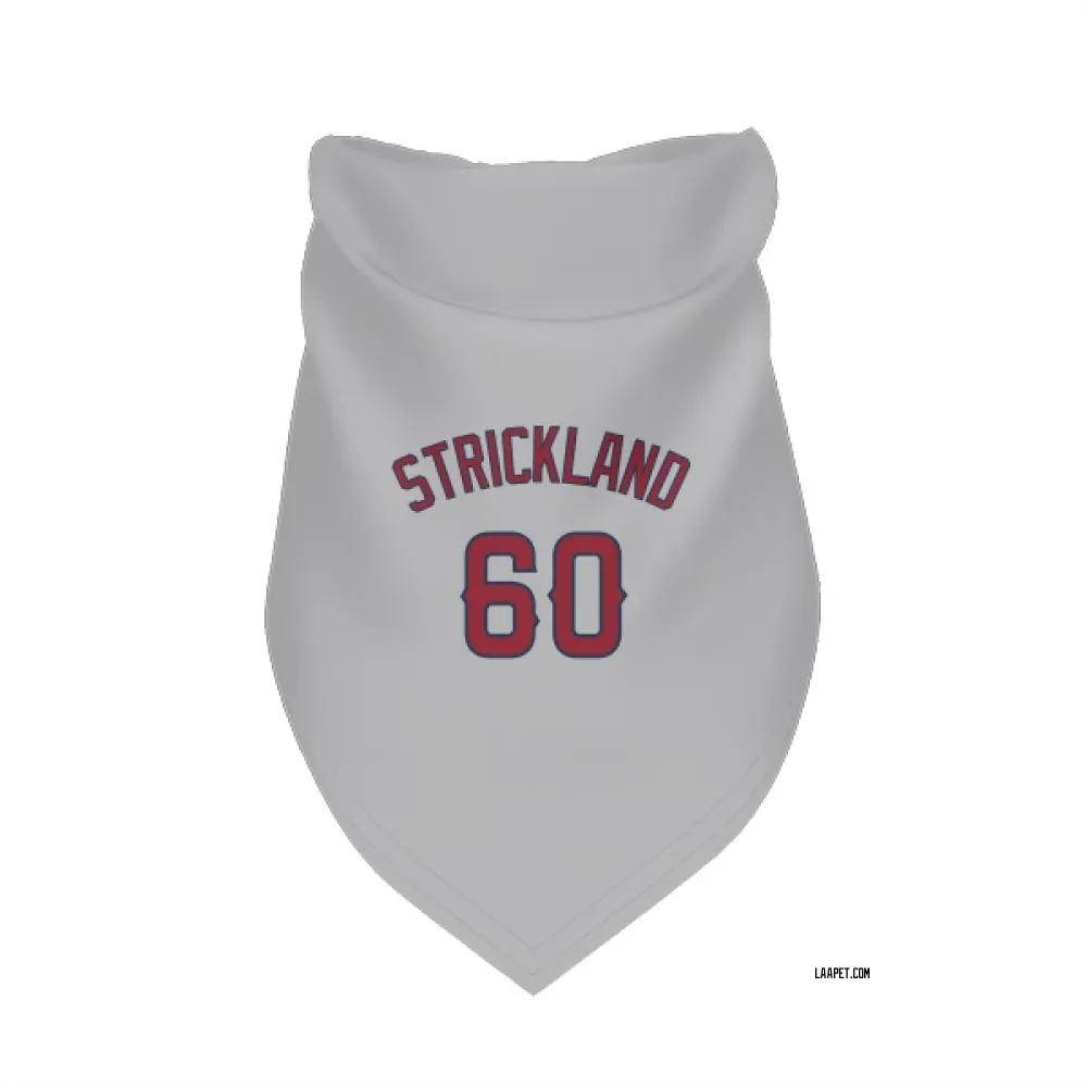Los Angeles Angels Hunter Strickland Gray Pet Bandana for Dog & Cat