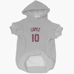 Los Angeles Angels Jack Lopez Gray Pet Hoodie for Dog & Cat