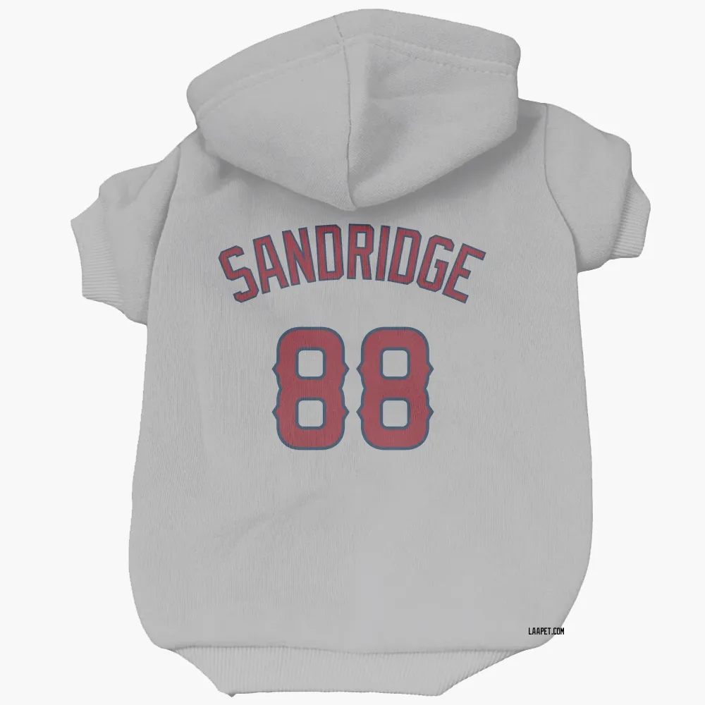 Los Angeles Angels Jayvien Sandridge Gray Pet Hoodie for Dog & Cat