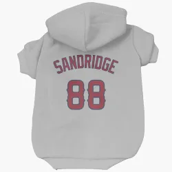 Los Angeles Angels Jayvien Sandridge Gray Pet Hoodie for Dog & Cat