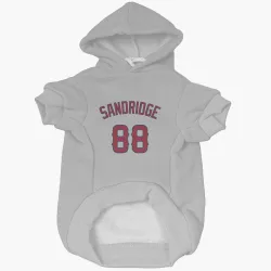 Los Angeles Angels Jayvien Sandridge Gray Pet Hoodie for Dog & Cat