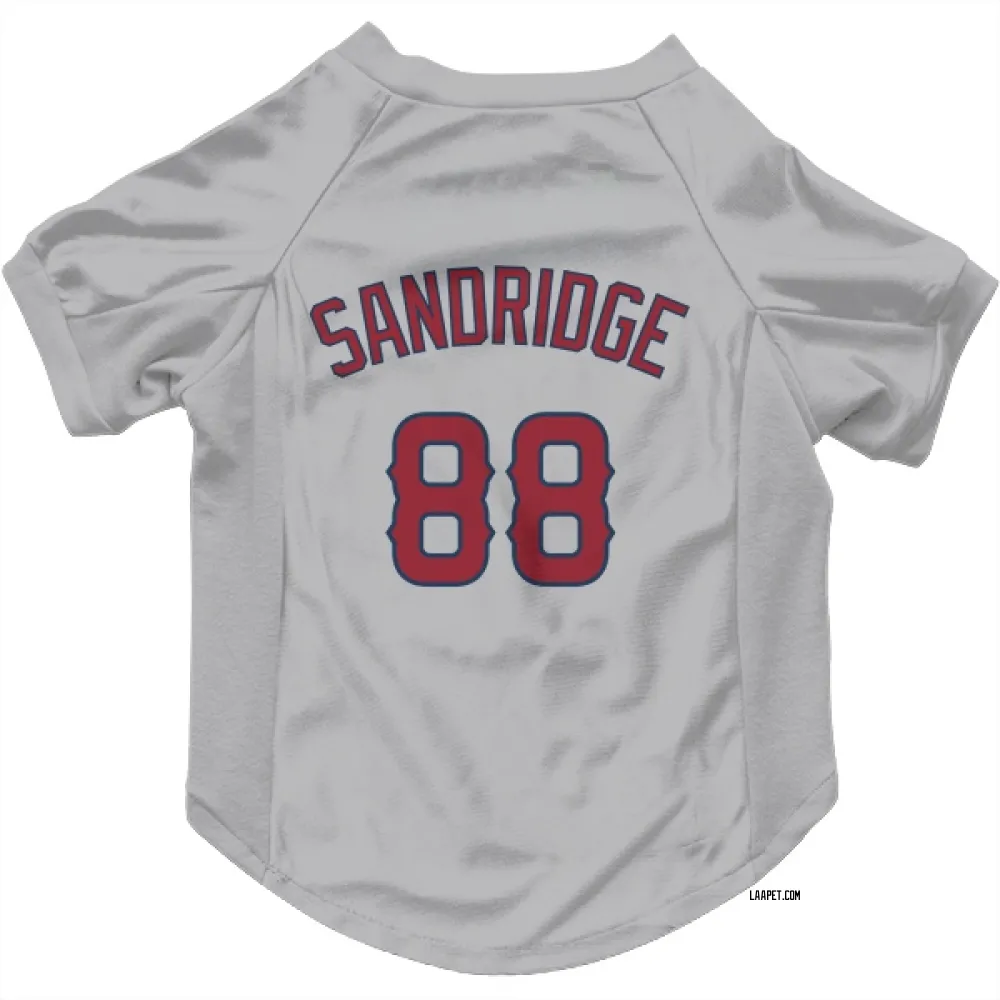 Los Angeles Angels Jayvien Sandridge Gray Pet Jersey for Dog & Cat