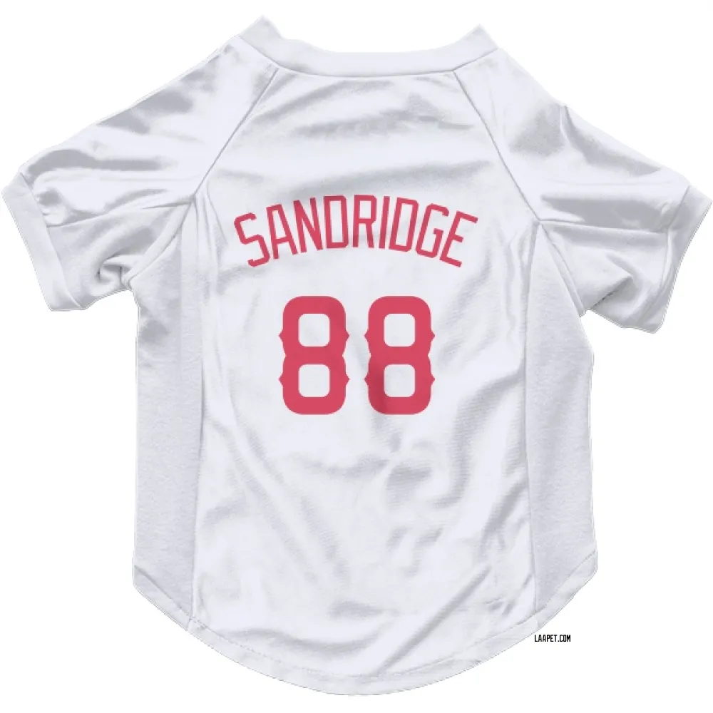 Los Angeles Angels Jayvien Sandridge Navy Pet Jersey for Dog & Cat