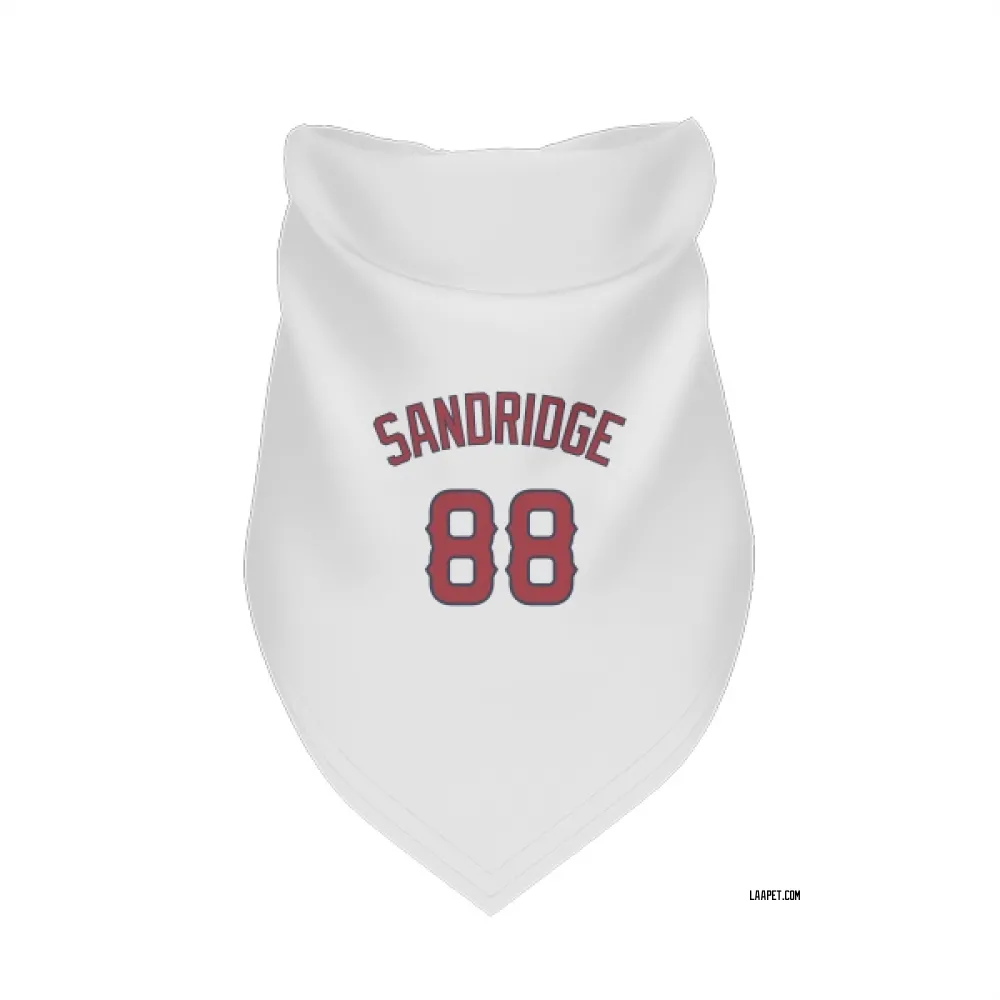 Los Angeles Angels Jayvien Sandridge White Pet Bandana for Dog & Cat