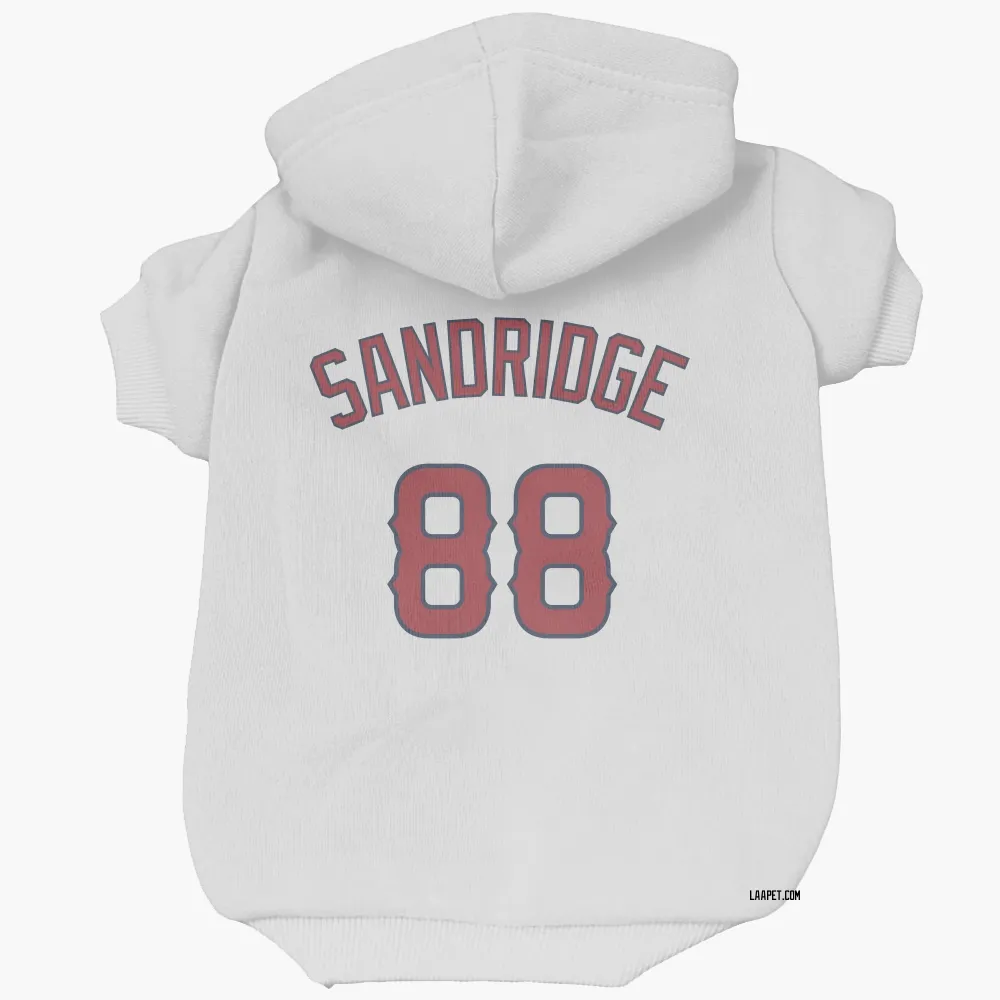 Los Angeles Angels Jayvien Sandridge White Pet Hoodie for Dog & Cat