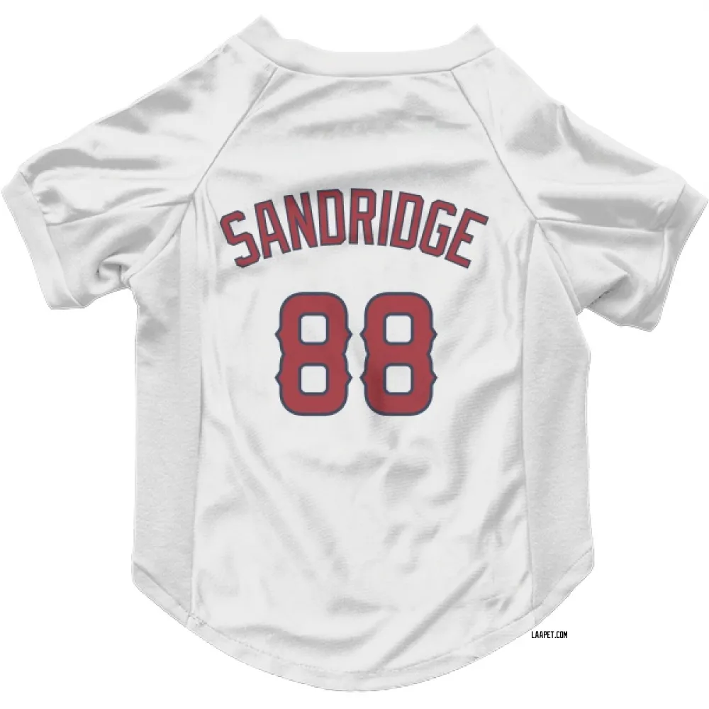 Los Angeles Angels Jayvien Sandridge White Pet Jersey for Dog & Cat