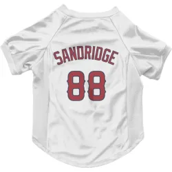 Los Angeles Angels Jayvien Sandridge White Pet Jersey for Dog & Cat