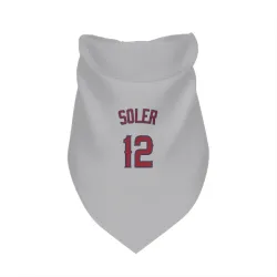 Los Angeles Angels Jorge Soler Gray Pet Bandana for Dog & Cat