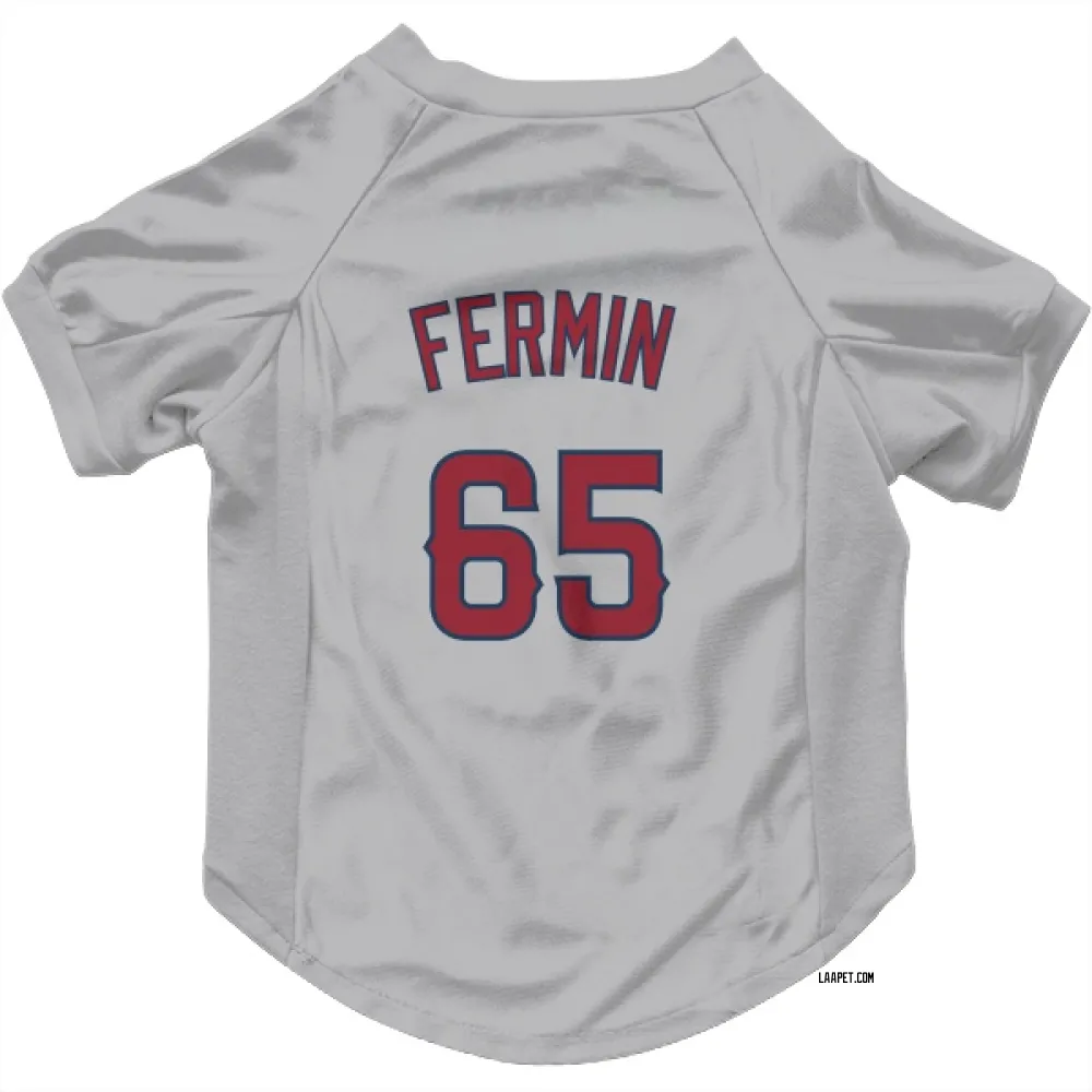 Los Angeles Angels Jose Fermin Gray Pet Jersey for Dog & Cat
