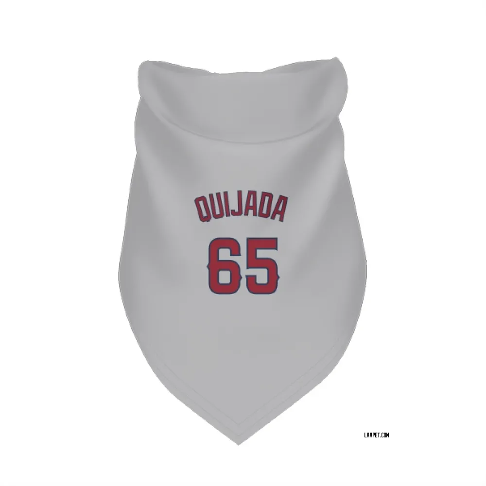 Los Angeles Angels Jose Quijada Gray Pet Bandana for Dog & Cat