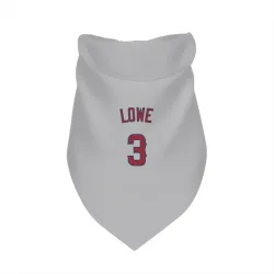 Los Angeles Angels Josh Lowe Gray Pet Bandana for Dog & Cat