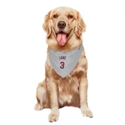 Los Angeles Angels Josh Lowe Gray Pet Bandana for Dog & Cat