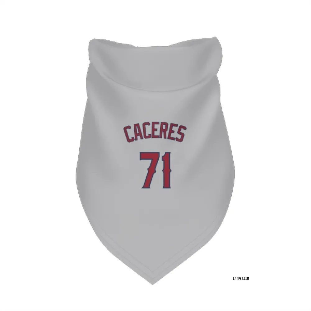 Los Angeles Angels Kelvin Caceres Gray Pet Bandana for Dog & Cat
