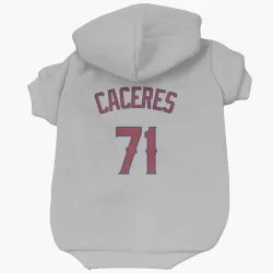 Los Angeles Angels Kelvin Caceres Gray Pet Hoodie for Dog & Cat