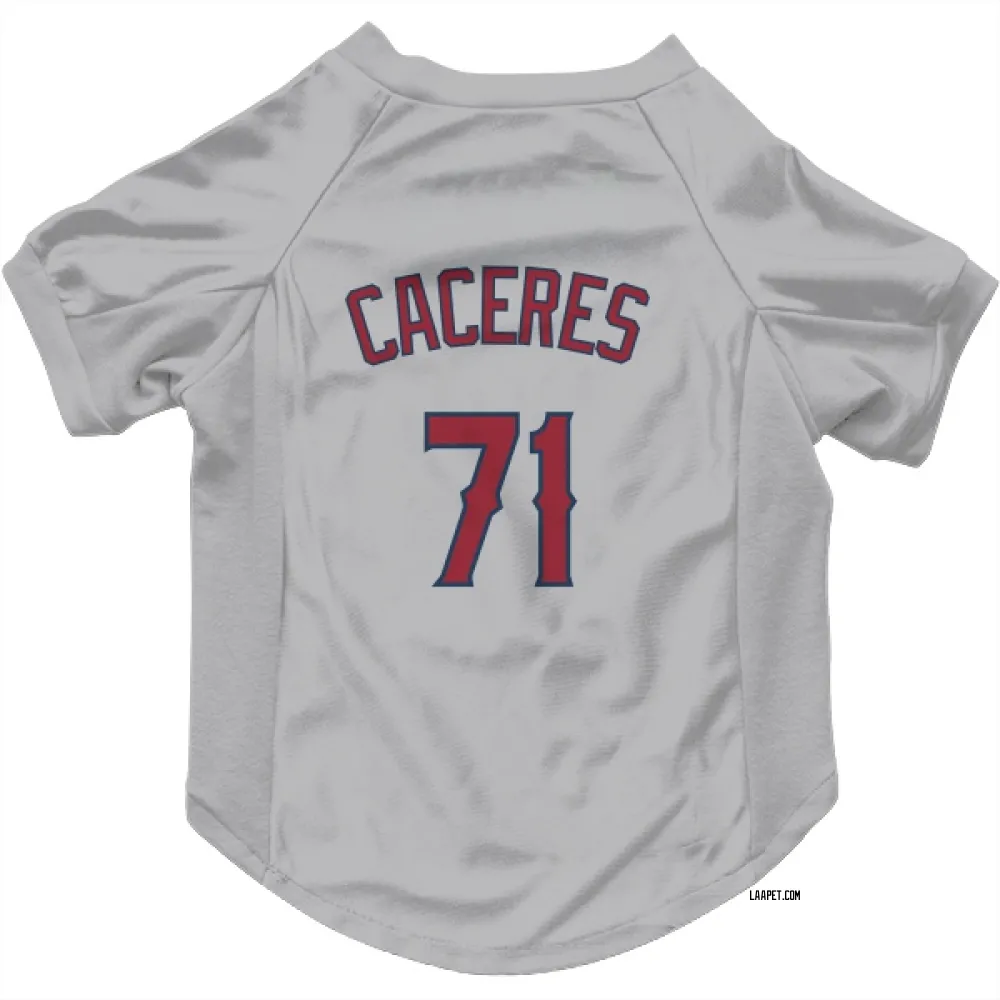 Los Angeles Angels Kelvin Caceres Gray Pet Jersey for Dog & Cat