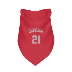 Los Angeles Angels Logan Davidson Red Gray Pet Bandana for Dog & Cat