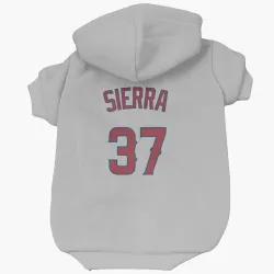 Los Angeles Angels Magneuris Sierra Gray Pet Hoodie for Dog & Cat