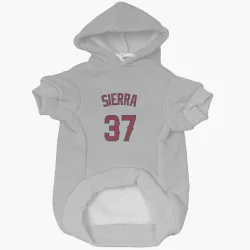 Los Angeles Angels Magneuris Sierra Gray Pet Hoodie for Dog & Cat