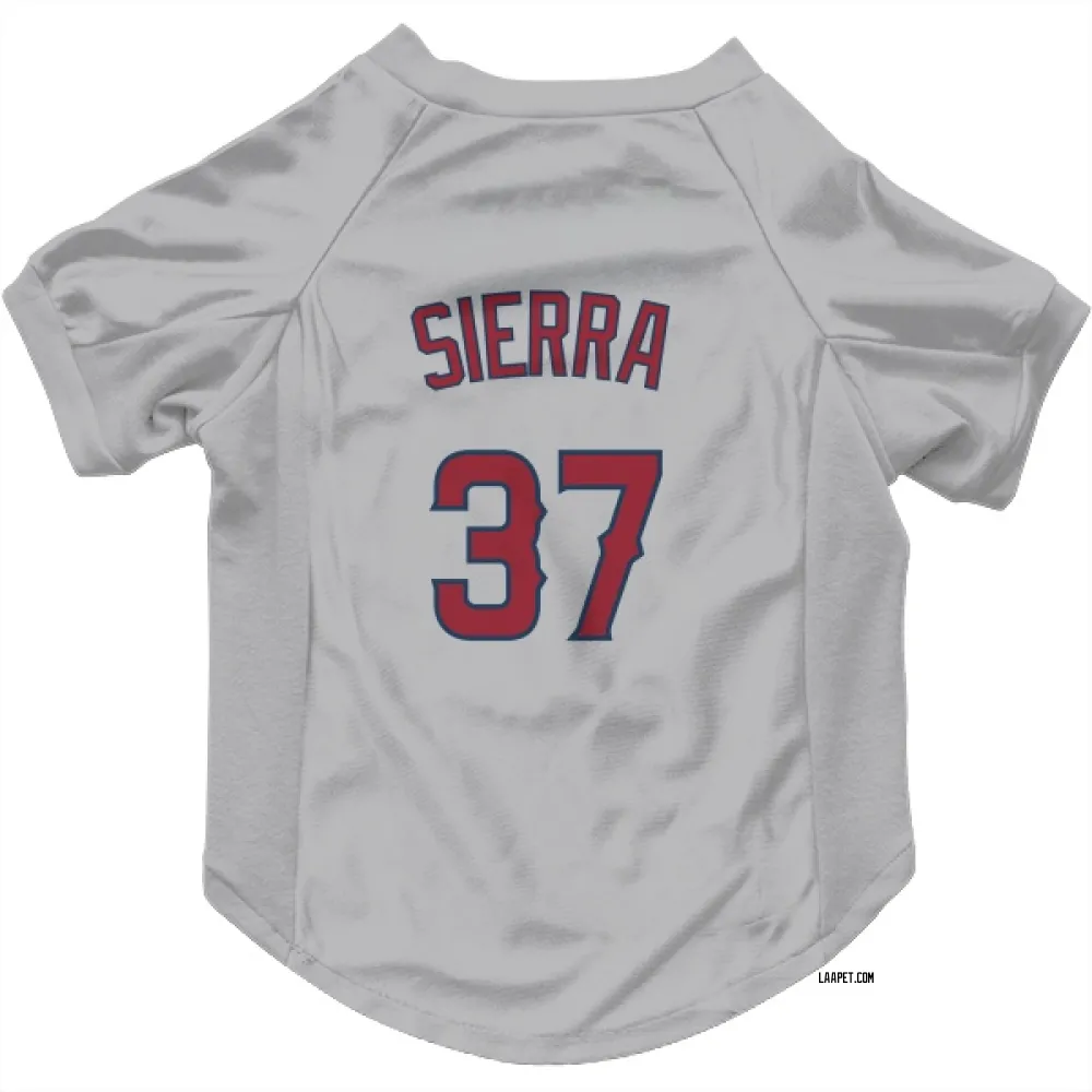 Los Angeles Angels Magneuris Sierra Gray Pet Jersey for Dog & Cat