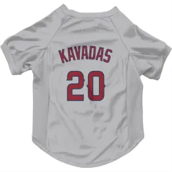 Los Angeles Angels Niko Kavadas Gray Pet Jersey for Dog & Cat