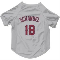Los Angeles Angels Nolan Schanuel Gray Pet Jersey for Dog & Cat