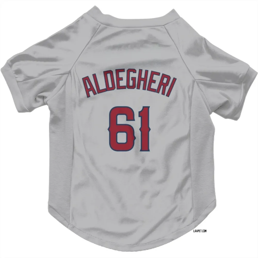 Los Angeles Angels Sam Aldegheri Gray Pet Jersey for Dog & Cat