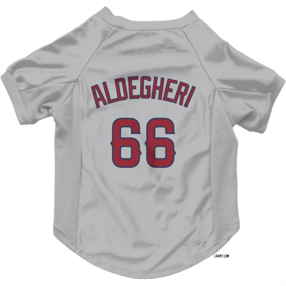 Los Angeles Angels Samuel Aldegheri Gray Pet Jersey for Dog & Cat