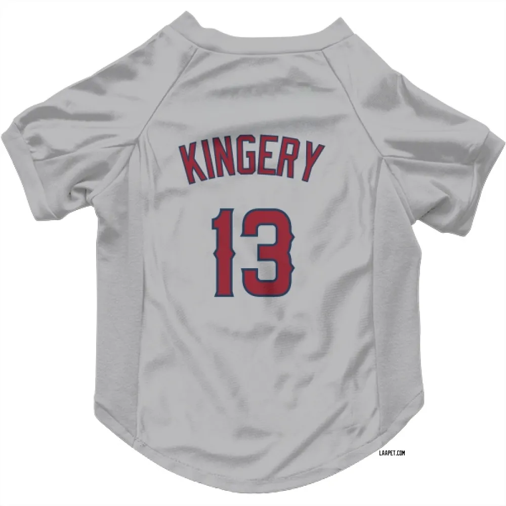 Los Angeles Angels Scott Kingery Gray Pet Jersey for Dog & Cat